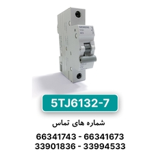 کلید مینیاتوری زیمنس مدل 5TJ6132-7