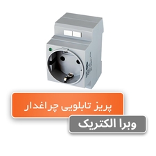 پریز تابلویی چراغدار رعد (DSO-LD)