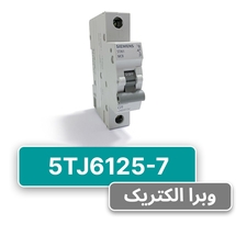 کلید مینیاتوری زیمنس مدل 5TJ6125-7