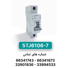 کلید مینیاتوری زیمنس مدل 5TJ6106-7
