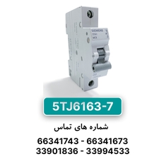 کلید مینیاتوری زیمنس مدل 5TJ6163-7