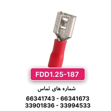 سرسیم فیشی مادگی 1.5 (FDD1.25-187) – W&E