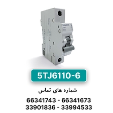 کلید مینیاتوری زیمنس مدل 5TJ6110-6