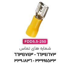 سرسیم فیشی مادگی 6 (FDD5.5-250) – W&E